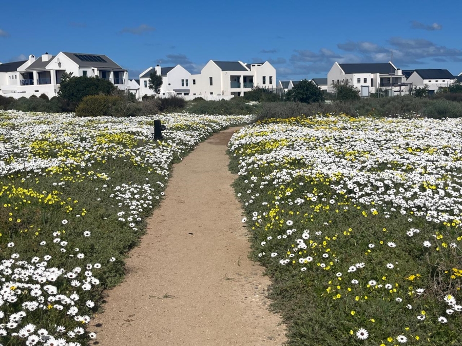 3 Bedroom Property for Sale in Blue Lagoon Western Cape